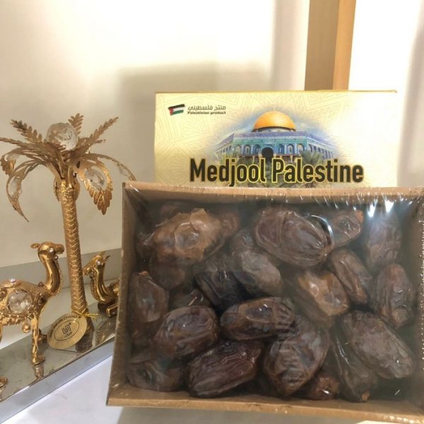 KURMA MEDJOOL SYAM 1KG